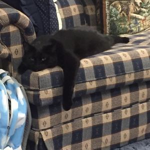 Meet your Posher, Teresa